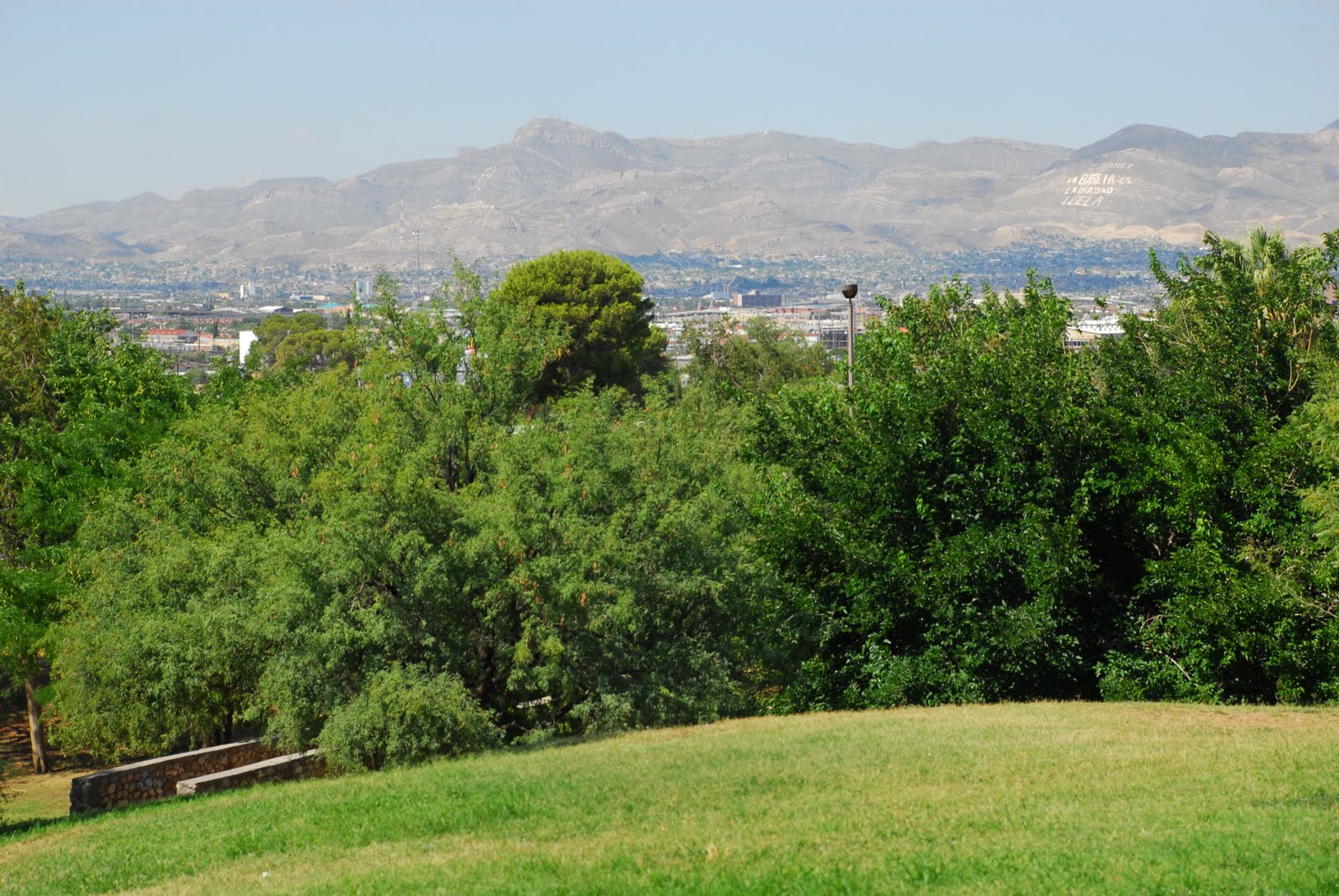 Texas Mountain Trail Daily Photo: Get off the Freeway: the Green Oasis 