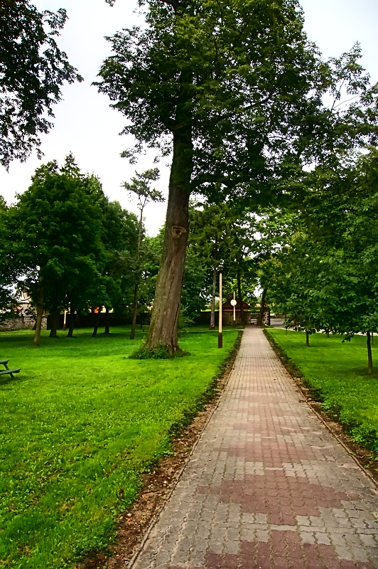 Zamki i palace foto Majka D DARSKOWO