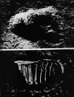 [Olduvai+Gorge+to+the+Sea+of+Tranquillity+(1).jpg]