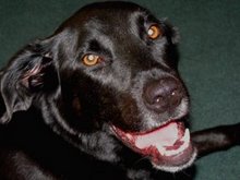 My All-Time Favorite!