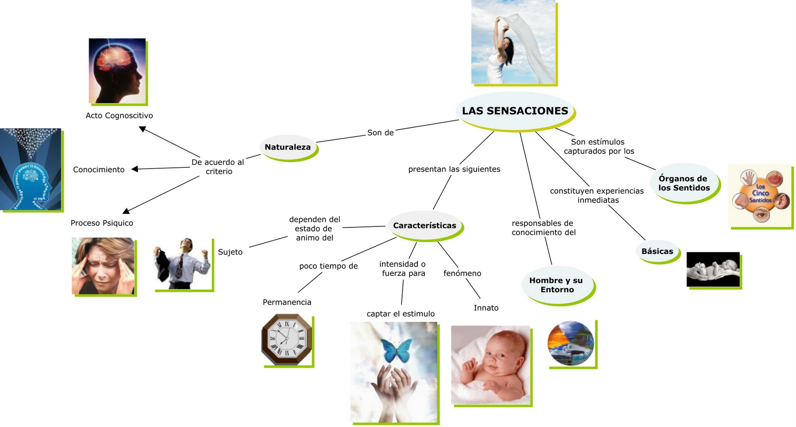 Mari: Mapas Mentales LAS SENSACIONES Y LA PERCEPCIÓN