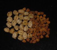 Recipe Collection: Legumes/ Pulses