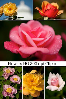 Цветы в фотографиях большого разрешения пеяатного качества