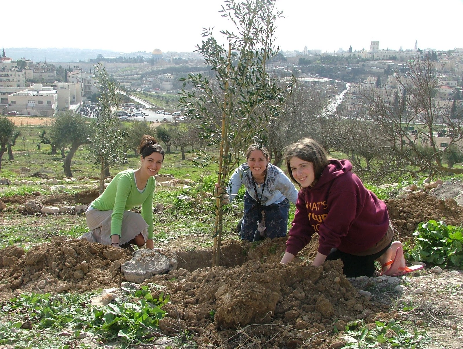 IsraelExperts Tu B’Shvat Digging through ancient dirt to