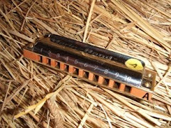 STAGE LE 5/12- STAGE LE 5/12-