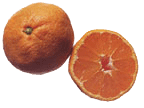 [orange.png]