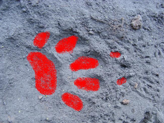 [DSC04073Pintad.JPG]