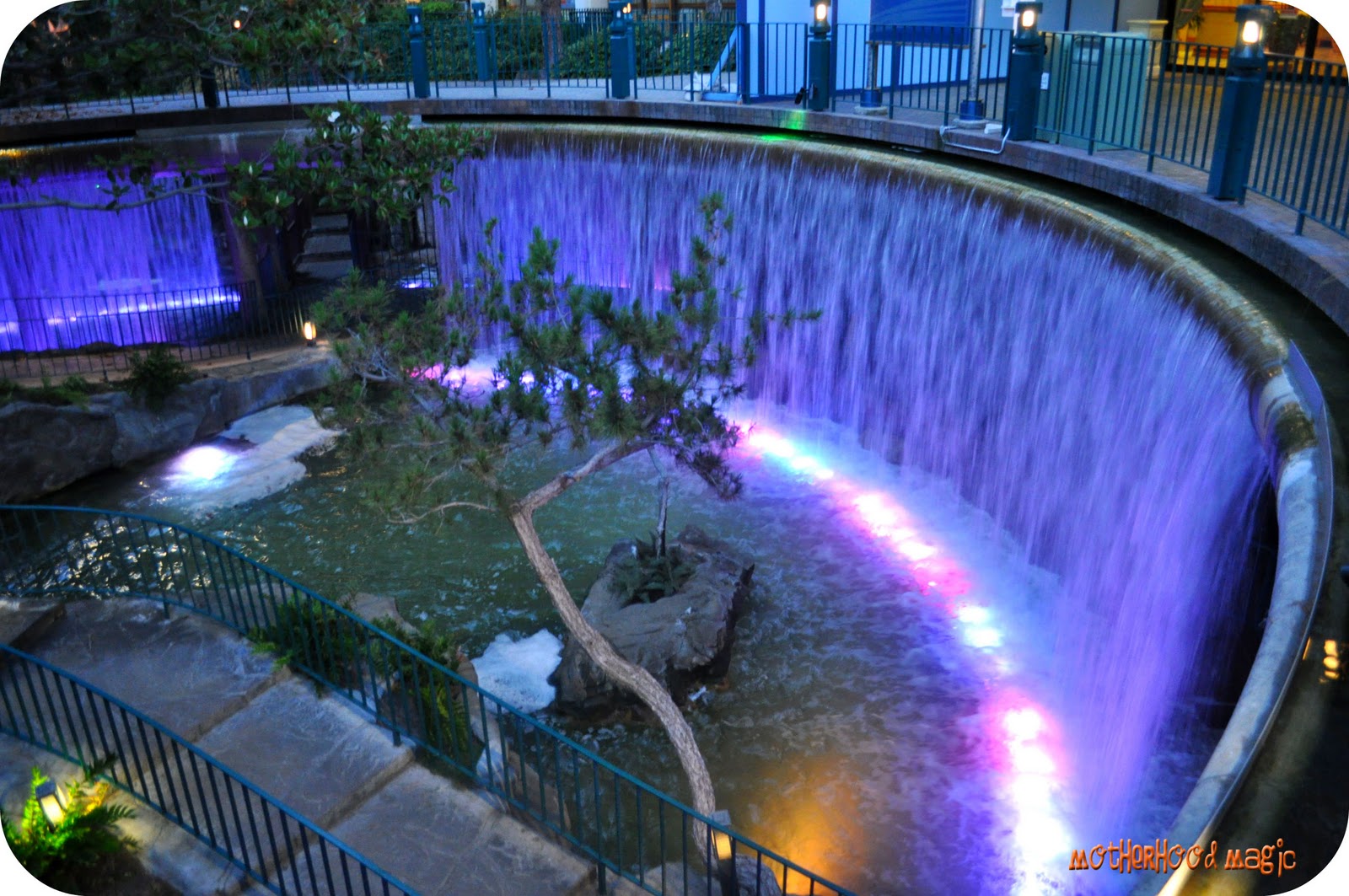 Magical Days with the Mouse Wordless Wednesday Disneyland Hotel