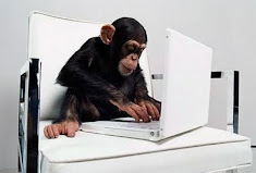 Macaco programador