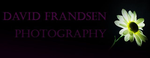 David Frandsen Photography
