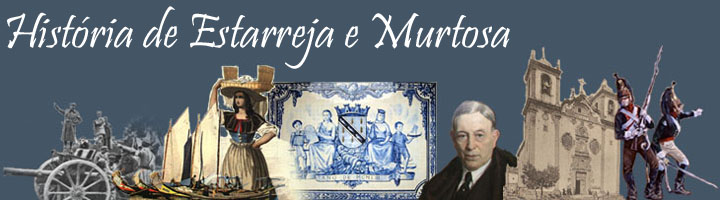 História de Estarreja e Murtosa