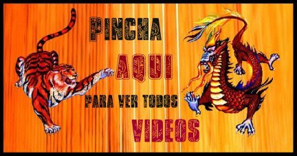 Todo You Tube