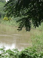 O rio ainda pouco poluído