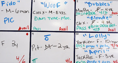 Snapshots: Name game