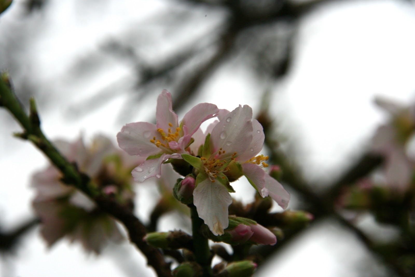 CharlieHearts Mumble Jumble Monday...