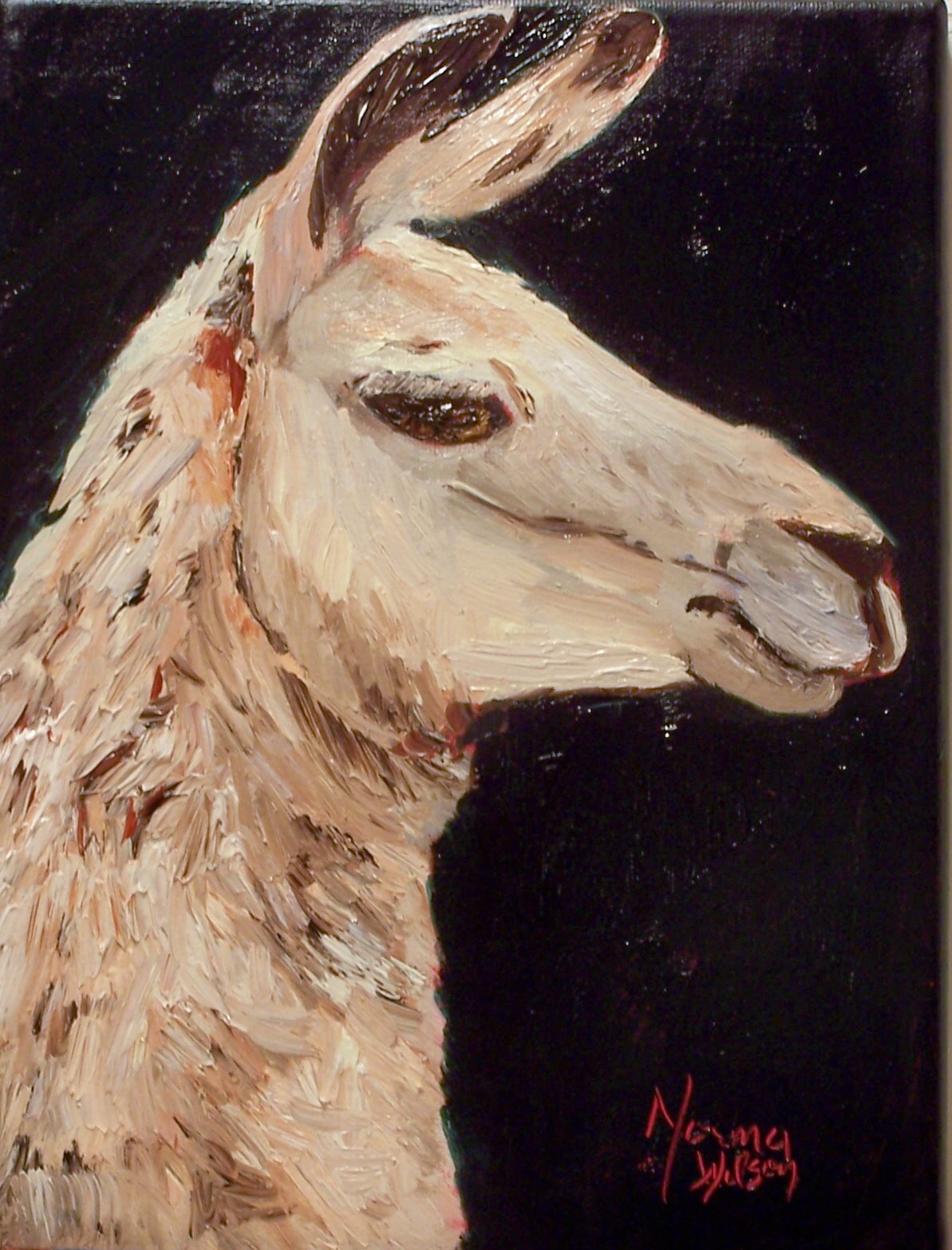 [Llama+Portrait.jpg]