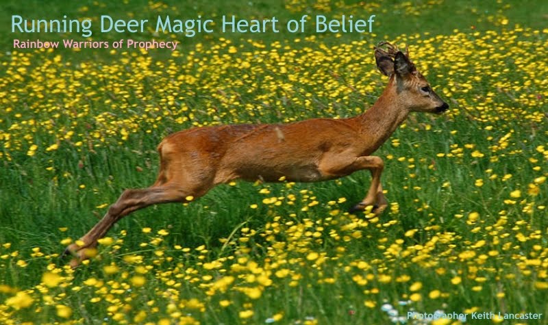 Running Deer, your Heart of Belief