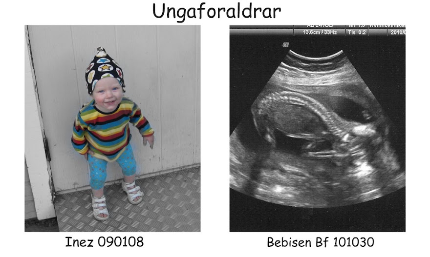 Ungaföräldrar