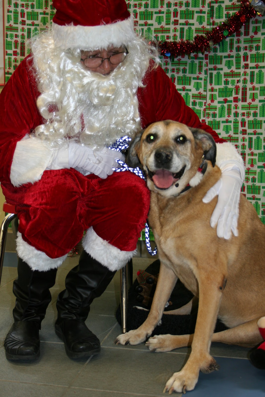 Best Friends Pet Care, Prairie View