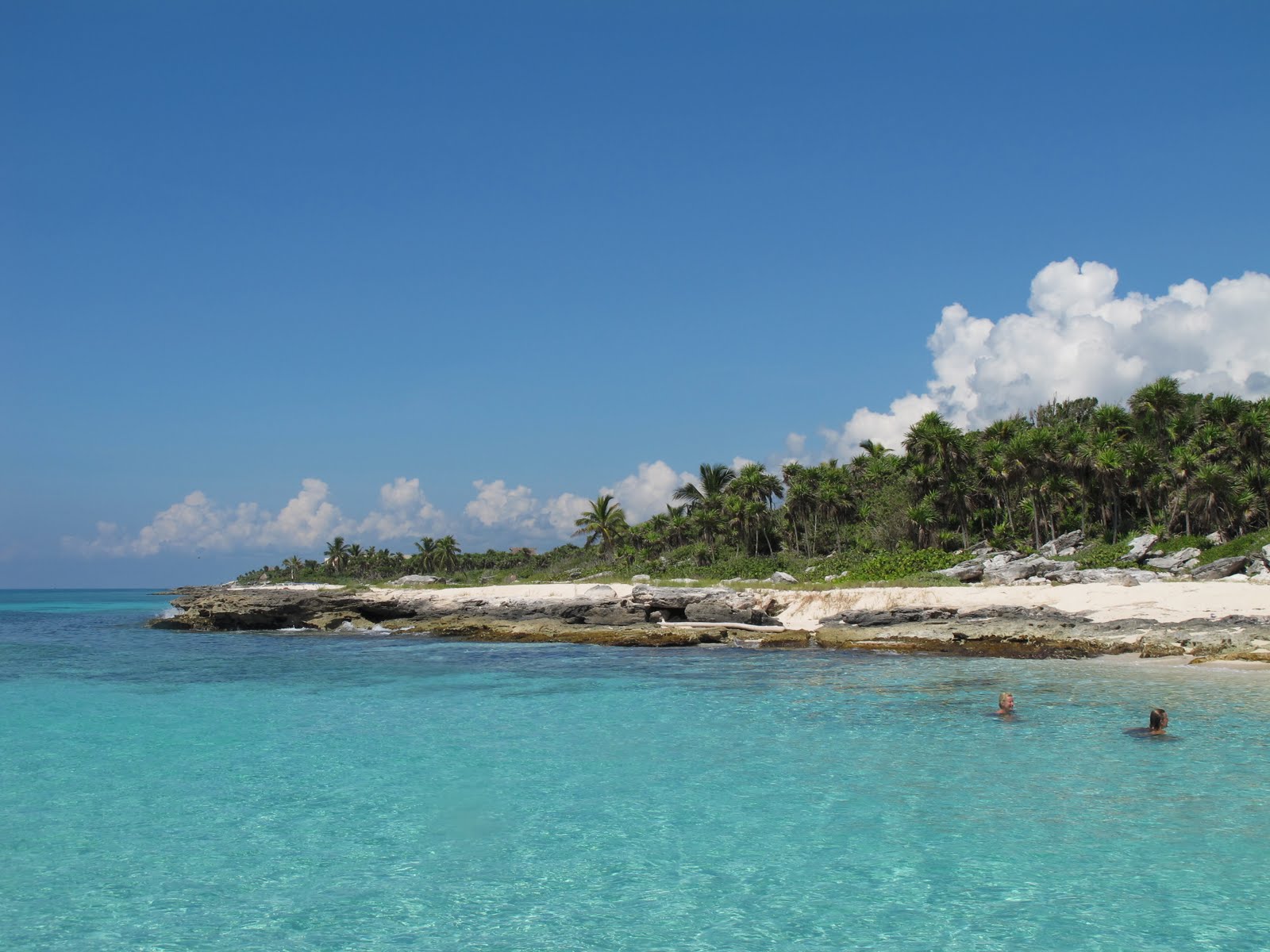 Dive in Mexico Diving in Playa del Carmen, Mexico. It is FANTASTIC!
