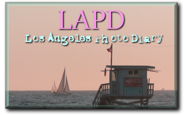 LAPD ~ Los Angeles Photo Diary