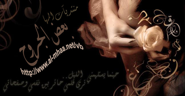 وسيم الجنوب