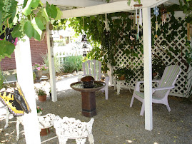 Our backyard pergola