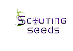 Logo "Scouting Seeds"