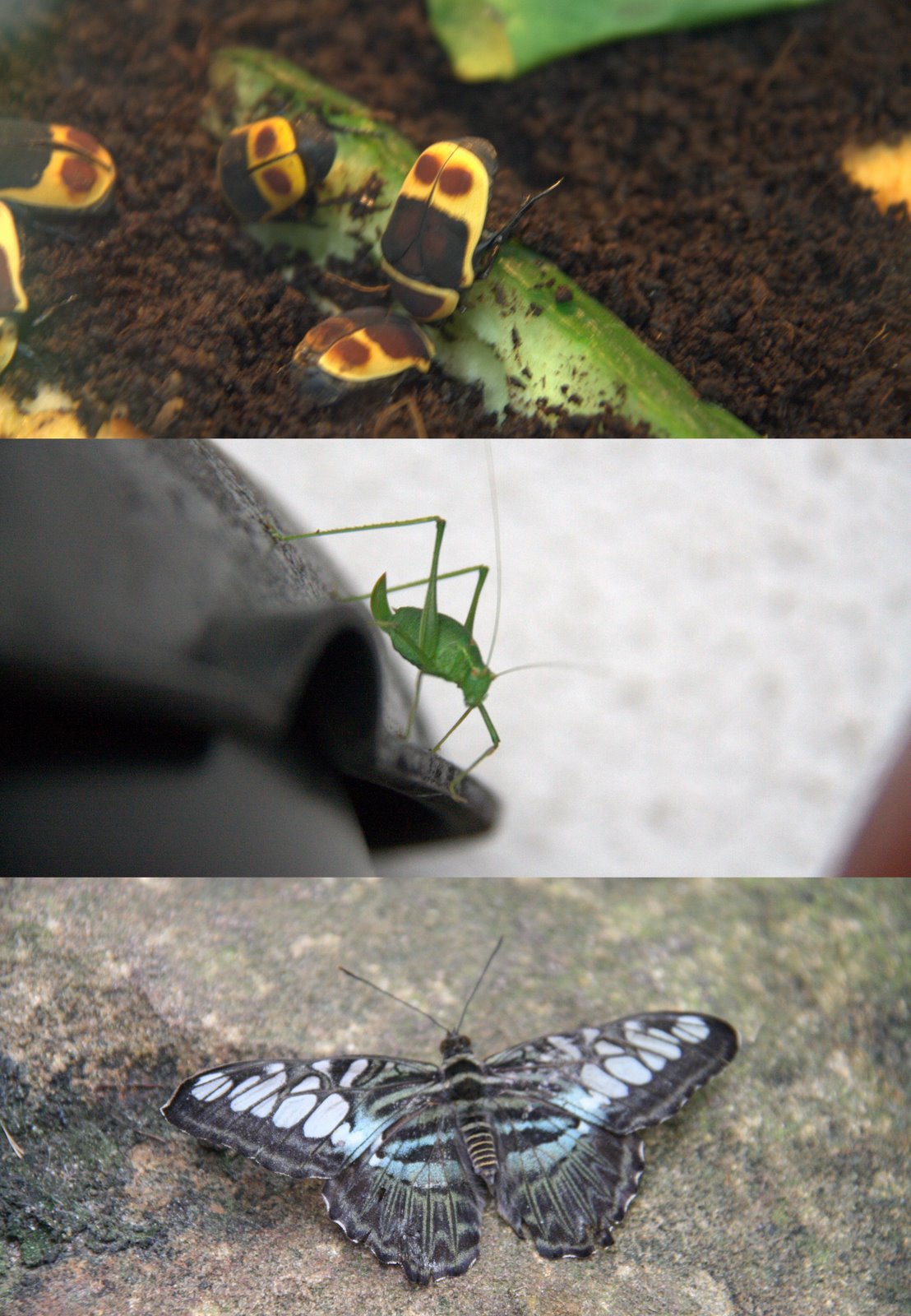 [200908+Em+casa.jpg]