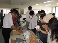球の最大接触数問題を味わう模型をさわる参加者
