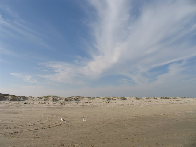 Corpus Christi, Texas sand dune and sky