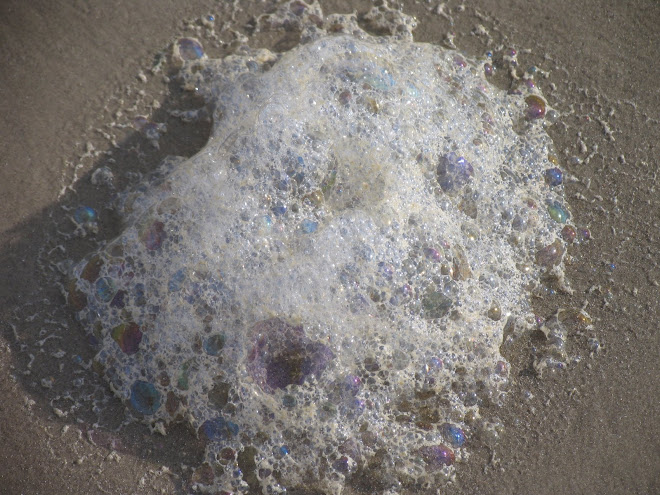 Sea foam on beach