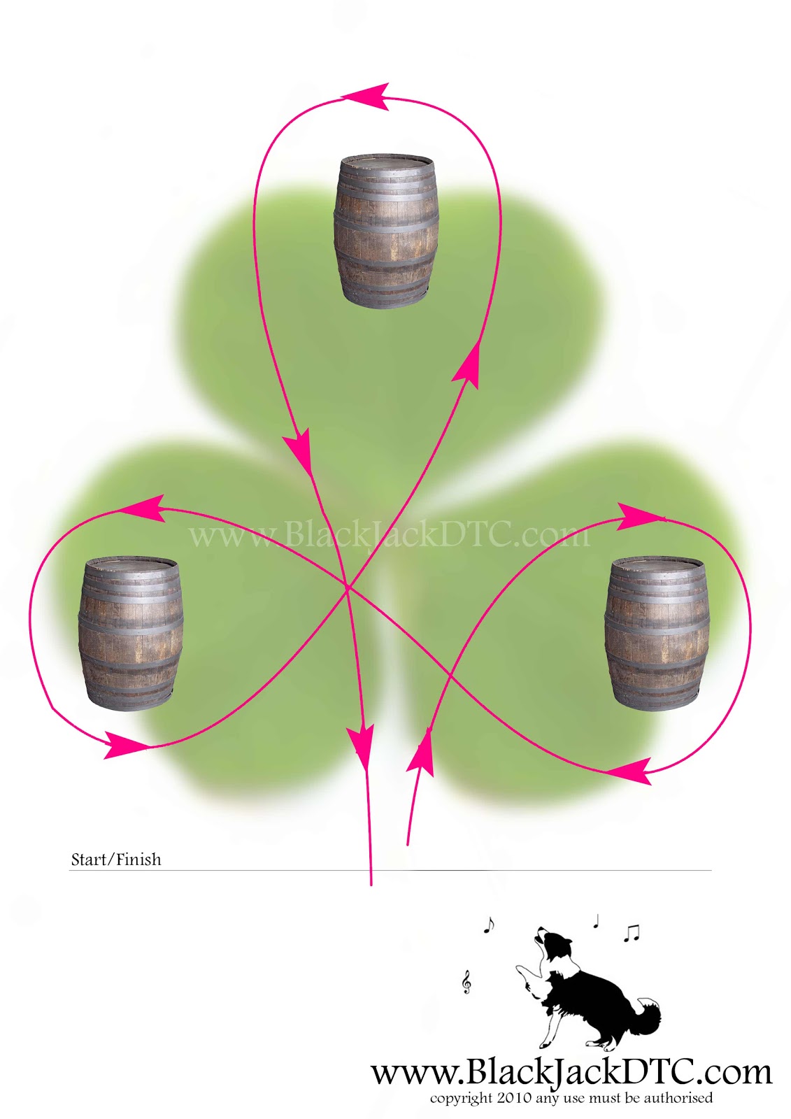 A General Overview of the History and Basics of Barrel Racing
