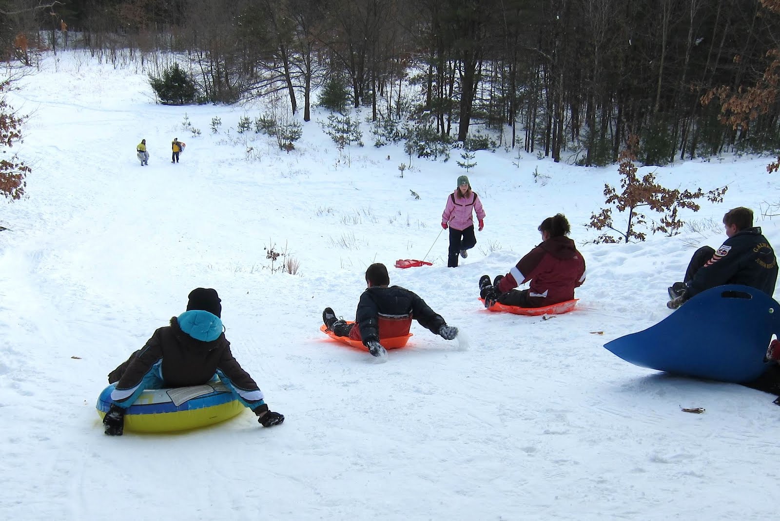 Saratoga woods and waterways: Woods Hollow Weeds