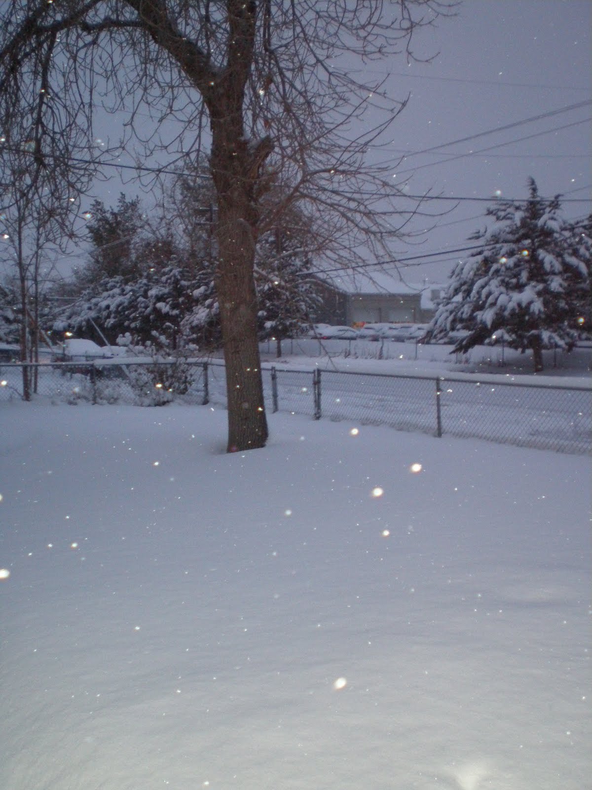 [1.2.2.2009+057.JPG]