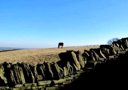 What's that comin' over the Hill?...