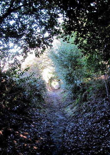 A Sleepy Hollow...