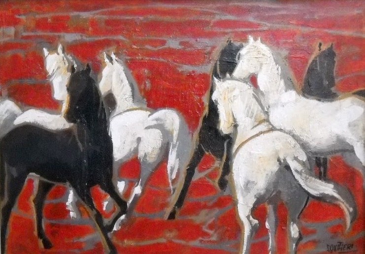 Immagini Di Cavalli Bianchi