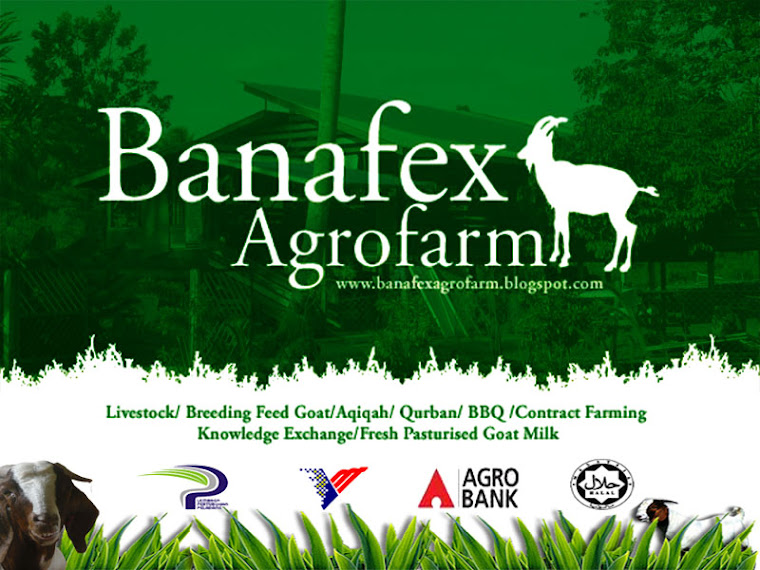 Banafex Agrofarm