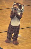 Our Tiger Mascot!