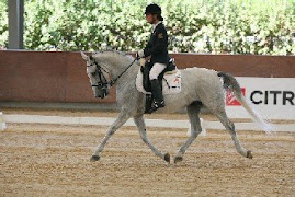 Piafés, deléveis empinos, ladeados, passages no adaptado jumping