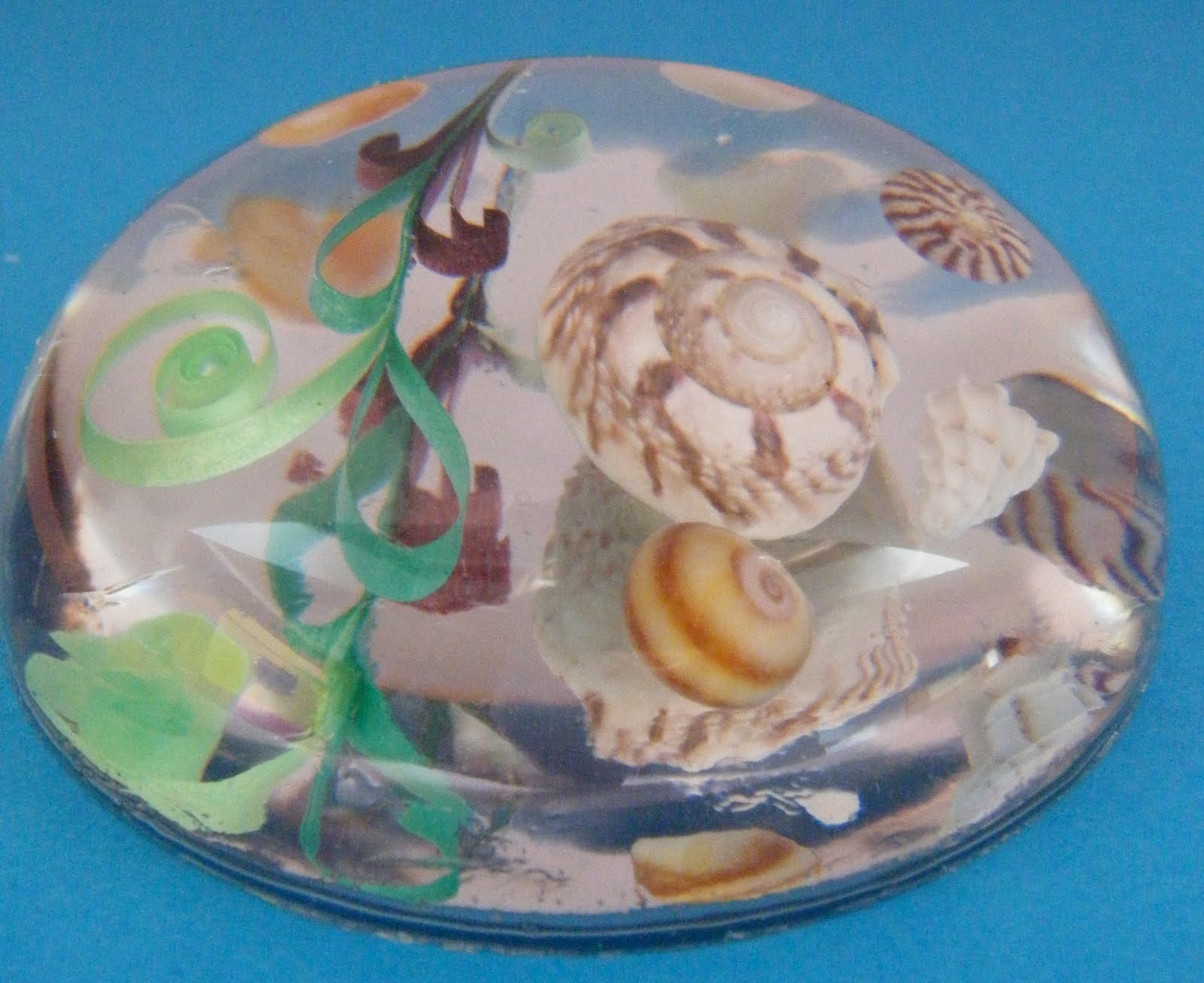 Quilliance Resin paperweight with quilled seaweed and real sea shells