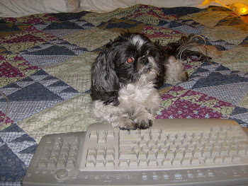 Dexter Working On His Blog!