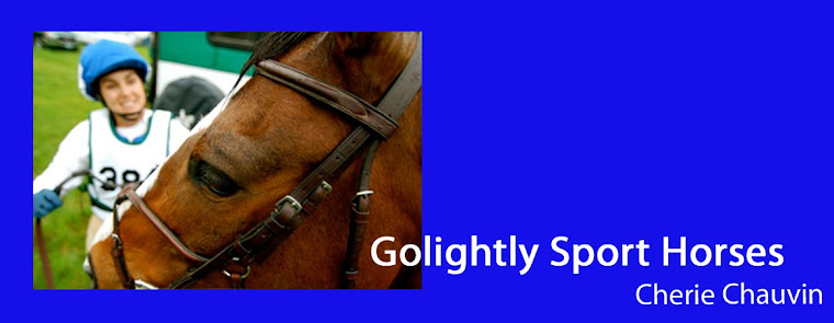 Golightly Sport Horses