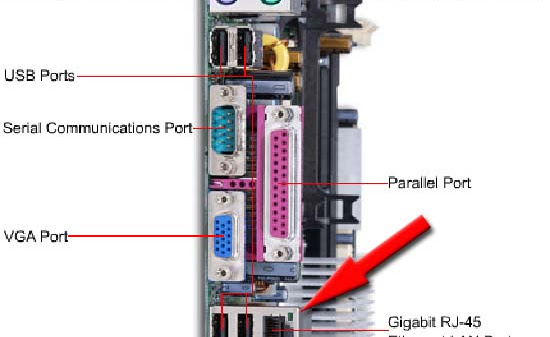 Lan Card Adalah Apa Fungsi dan Jenisnya yang Perlu Diketahui