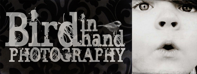 Bird in Hand Photography + Design