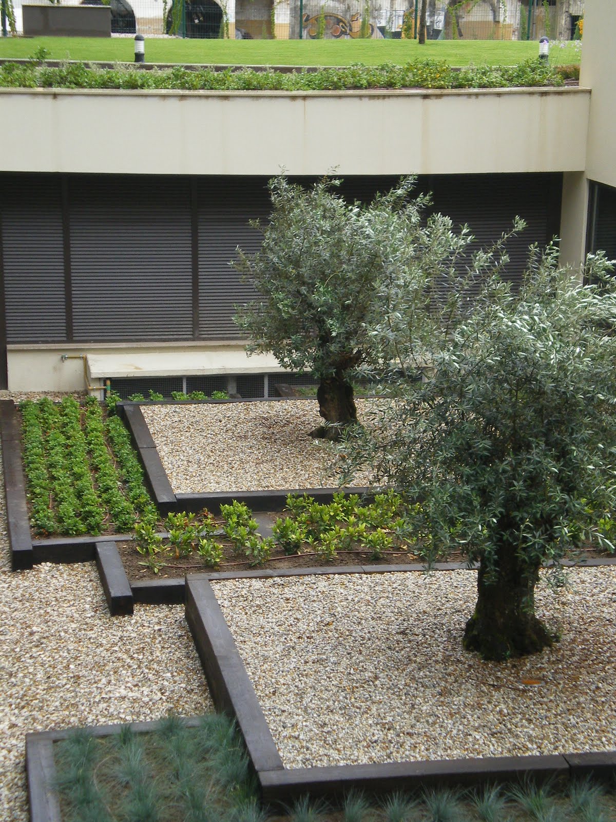 Francisco Cruz - Agricultura, Paisajismo, Césped deportivo: Perfección