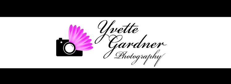 Yvette Gardner Photography