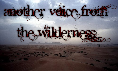 Another Voice from the Wilderness