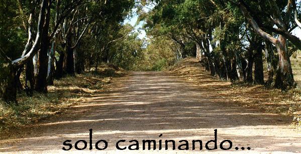 solo caminando